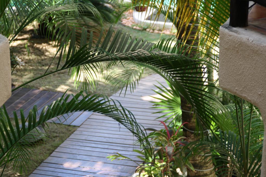 La Tortuga Hotel & Spa - Adults Only Плайя-дель-Кармен Екстер'єр фото